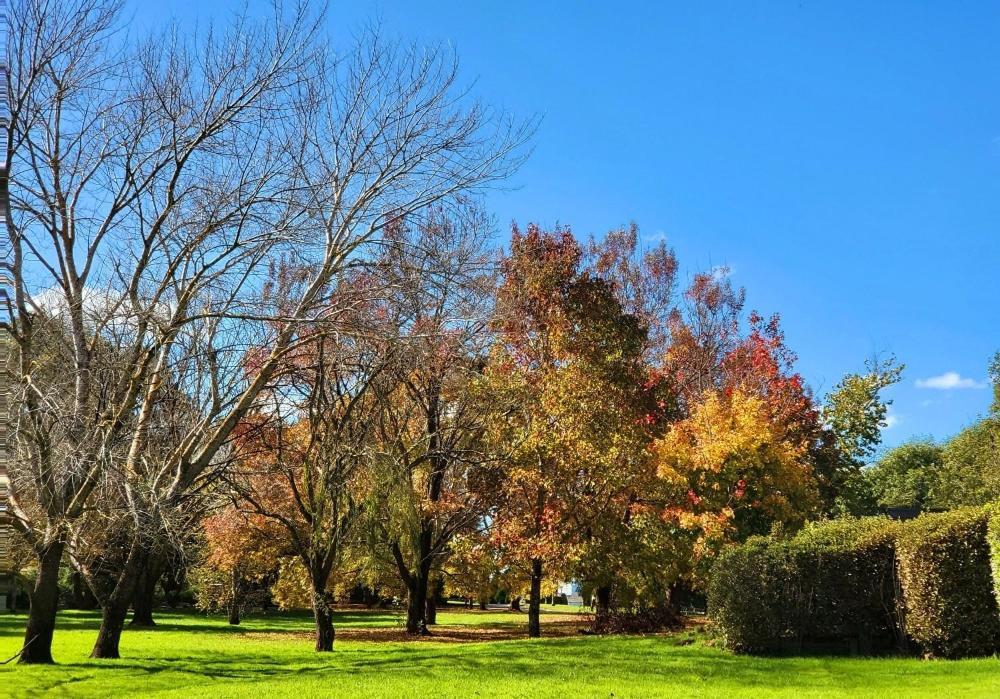 Briars Country Lodge Bowral Luaran gambar